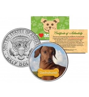 DACHSHUND - Dog - JFK Kennedy Half Dollar U.S. Colorized Coin - Limited Edition
