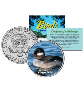 BUFFLEHEAD Collectible Birds JFK Kennedy Half Dollar Colorized US Coin DUCK
