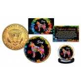 Chinese Zodiac PolyChrome Genuine Legal Tender JFK Kennedy Half Dollar 24K Gold Plated U.S. Coin - DOG