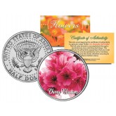 CHERRY BLOSSOM FLOWER JFK Kennedy Half Dollar U.S. Colorized Coin