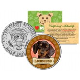 DACHSHUND Dog JFK Kennedy Half Dollar U.S. Colorized Coin