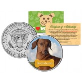 DACHSHUND - Dog - JFK Kennedy Half Dollar U.S. Colorized Coin - Limited Edition