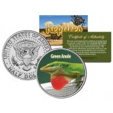GREEN ANOLE - Collectible Reptiles - JFK Kennedy Half Dollar U.S. Colorized Coin CAROLINA LIZARD