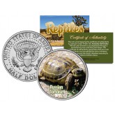 RUSSIAN TORTOISE - Collectible Reptiles - JFK Kennedy Half Dollar US Colorized Coin HORSFIELD TURTLE