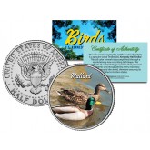 MALLARD Collectible Birds JFK Kennedy Half Dollar Colorized US Coin WILD DUCK