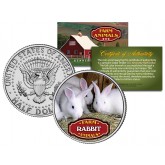 RABBIT Collectible Farm Animals JFK Kennedy Half Dollar U.S. Colorized Coin