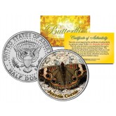 JUNONIA COENIA BUTTERFLY JFK Kennedy Half Dollar U.S. Colorized Coin