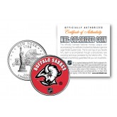 BUFFALO SABRES NHL Hockey New York Statehood Quarter U.S. Colorized Coin - Officially Licensed