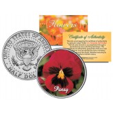 PANSY POPPY FLOWER JFK Kennedy Half Dollar U.S. Colorized Coin