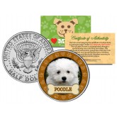 POODLE Dog JFK Kennedy Half Dollar U.S. Colorized Coin