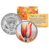 TULIP FLOWER JFK Kennedy Half Dollar U.S. Colorized Coin