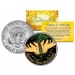 EASTERN TIGER SWALLOWTAIL BUTTERFLY JFK Kennedy Half Dollar U.S. Colorized Coin