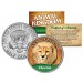 CHEETAH - Animal Kingdom Series - JFK Kennedy Half Dollar U.S. Colorized Coin