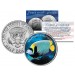 EMPEROR ANGELFISH - Tropical Fish Series - JFK Kennedy Half Dollar U.S. Colorized Coin