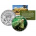 GREEN IGUANA - Collectible Reptiles - JFK Kennedy Half Dollar US Colorized Coin LIZARD