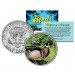 WOOD DUCK Collectible Birds JFK Kennedy Half Dollar Colorized US Coin CAROLINA