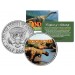 PACHYCEPHALOSAURUS Collectible Dinosaur JFK Kennedy Half Dollar US Colorized Coin