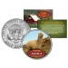 ALPACA Collectible Farm Animals JFK Kennedy Half Dollar U.S. Colorized Coin