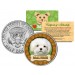 MALTESE Dog JFK Kennedy Half Dollar U.S. Colorized Coin