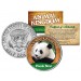 PANDA BEAR - Animal Kingdom Series - JFK Kennedy Half Dollar U.S. Colorized Coin